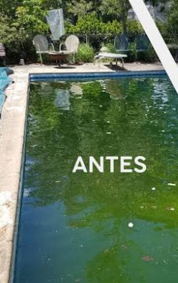 Pool Cleaning