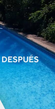 Pool Cleaning